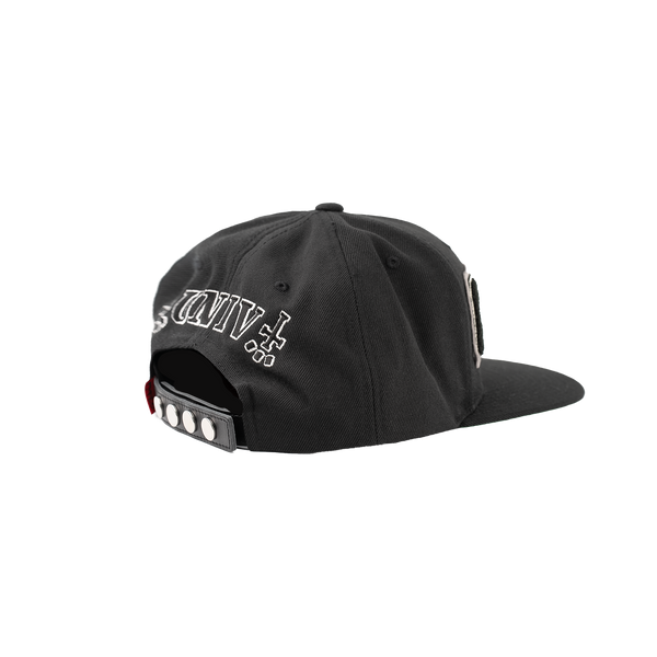 CTLS | University Cap