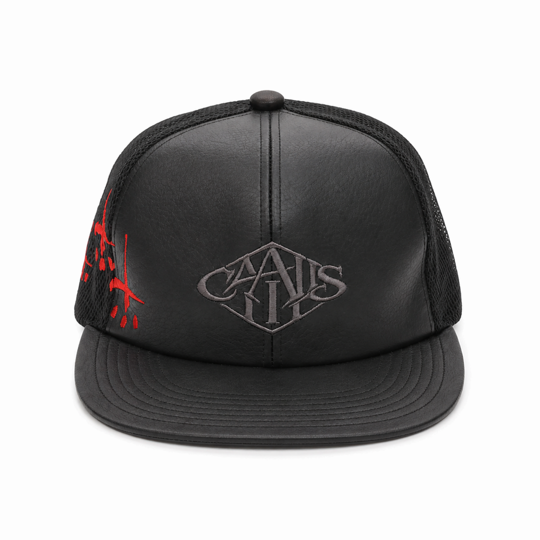 LEATHER SNAPBACK CAP DIAMOND LOGO image 1
