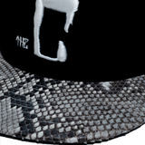 CTLS｜Python Cap