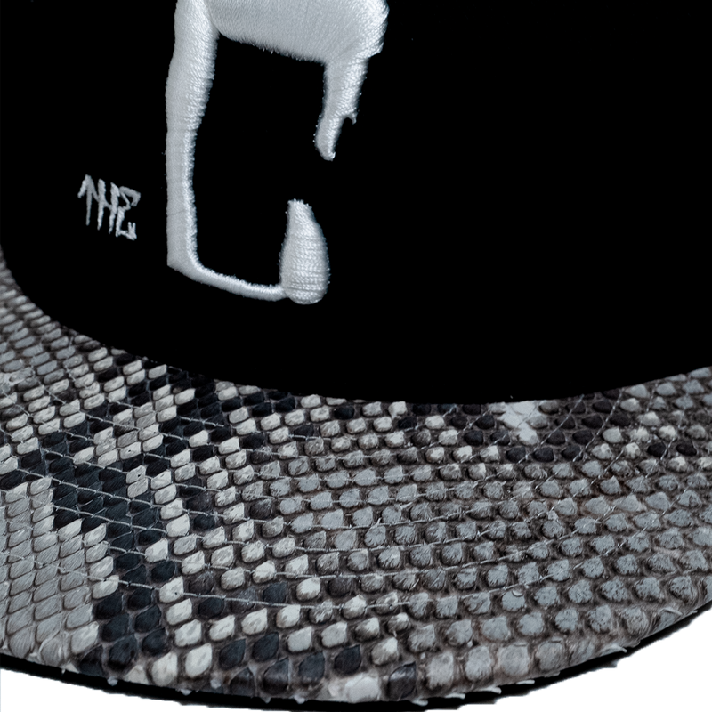 CTLS｜Python Cap