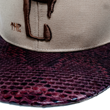 CTLS｜Python Cap