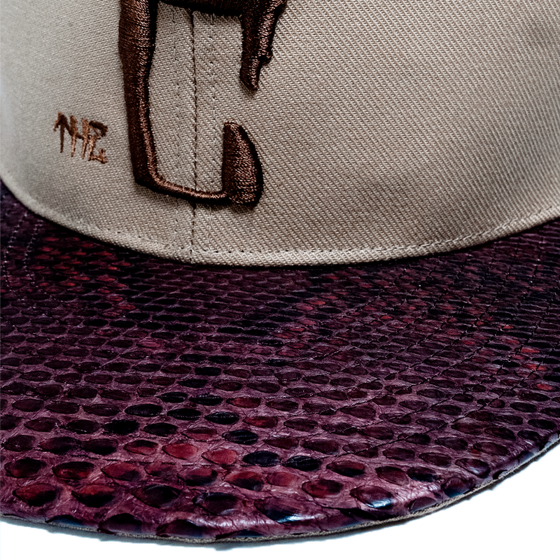 CTLS｜Python Cap