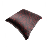 CTLS | Paisley Cushion