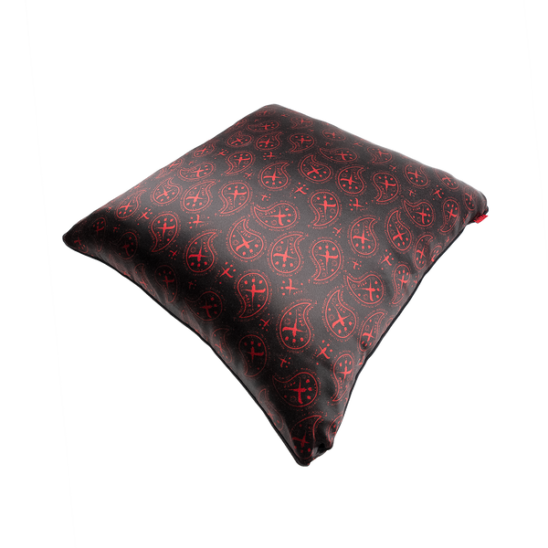 CTLS | Paisley Cushion