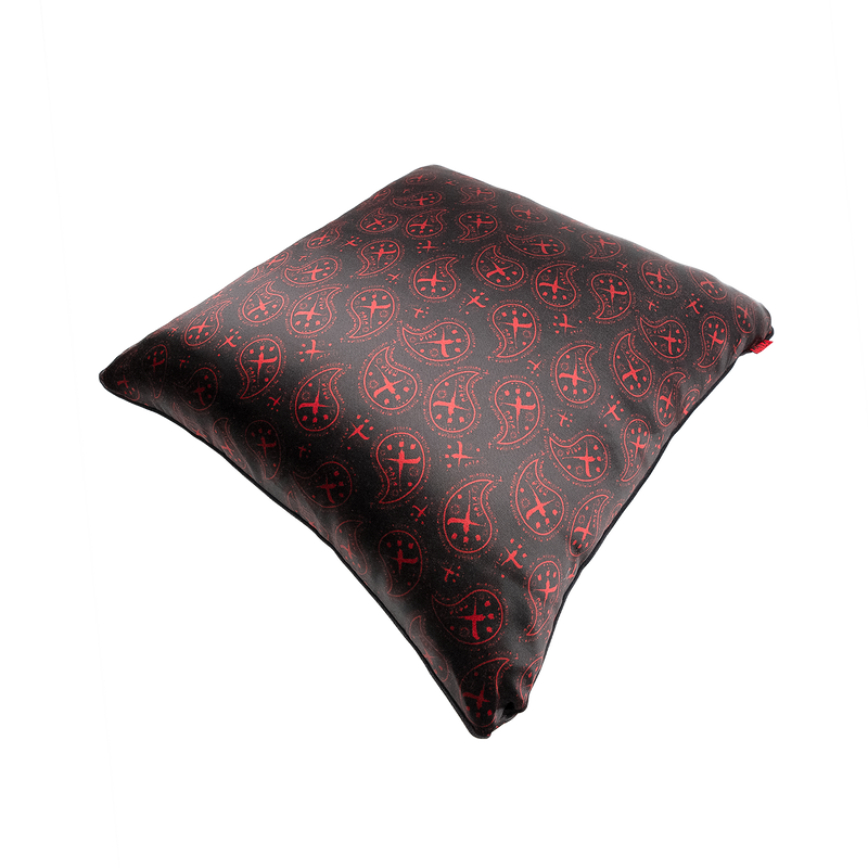 CTLS | Paisley Cushion