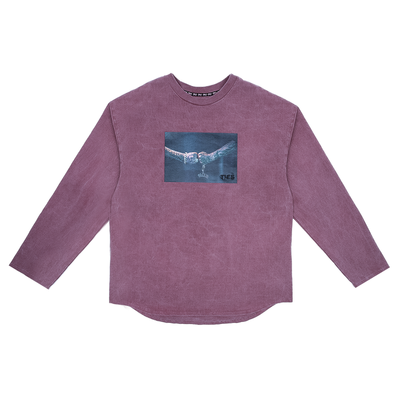 CTLS | "TIES" Photo Longsleeve Tee