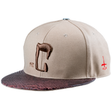 CTLS｜Python Cap