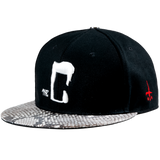 CTLS｜Python Cap