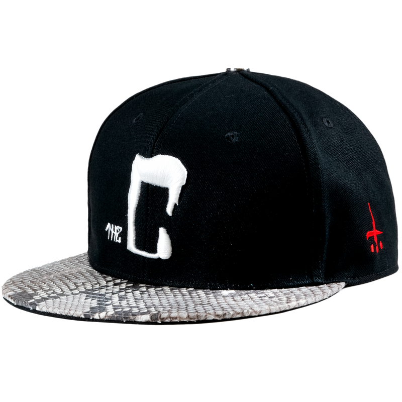 CTLS｜Python Cap