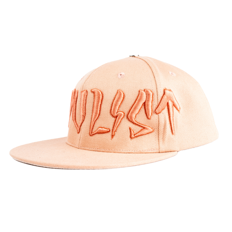 CTLS | "CVTVLIST" 3D Logo Cap