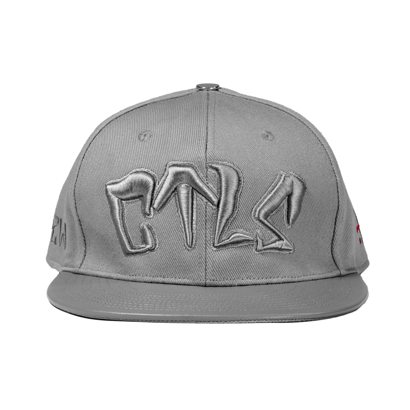 CTLS | 3D Logo Cap