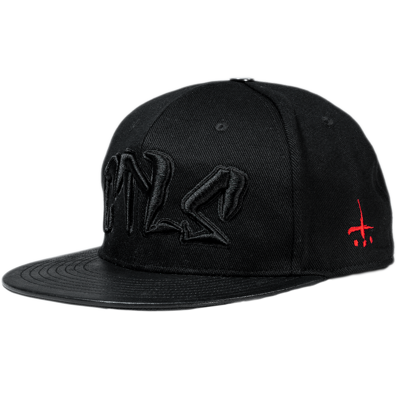 CTLS | 3D Logo Cap