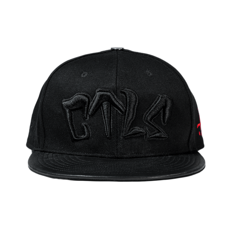 CTLS | 3D Logo Cap