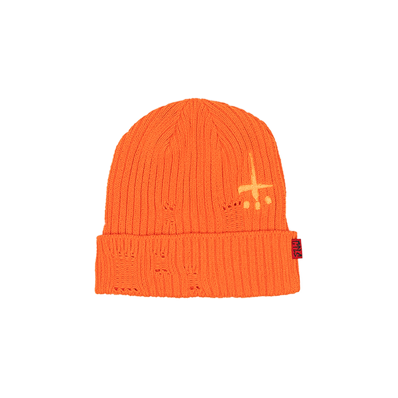 CTLS | Destroyed Beanie