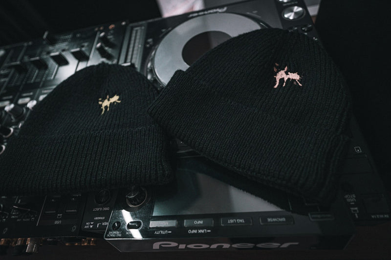 CTLS｜Python Logo Beanie