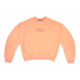 CTLS | 3D Logo Usual Crewneck